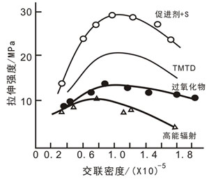 硫化胶交联结构与性能的关系