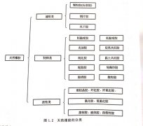 <b>烟片胶与标准胶有什么区别?</b>